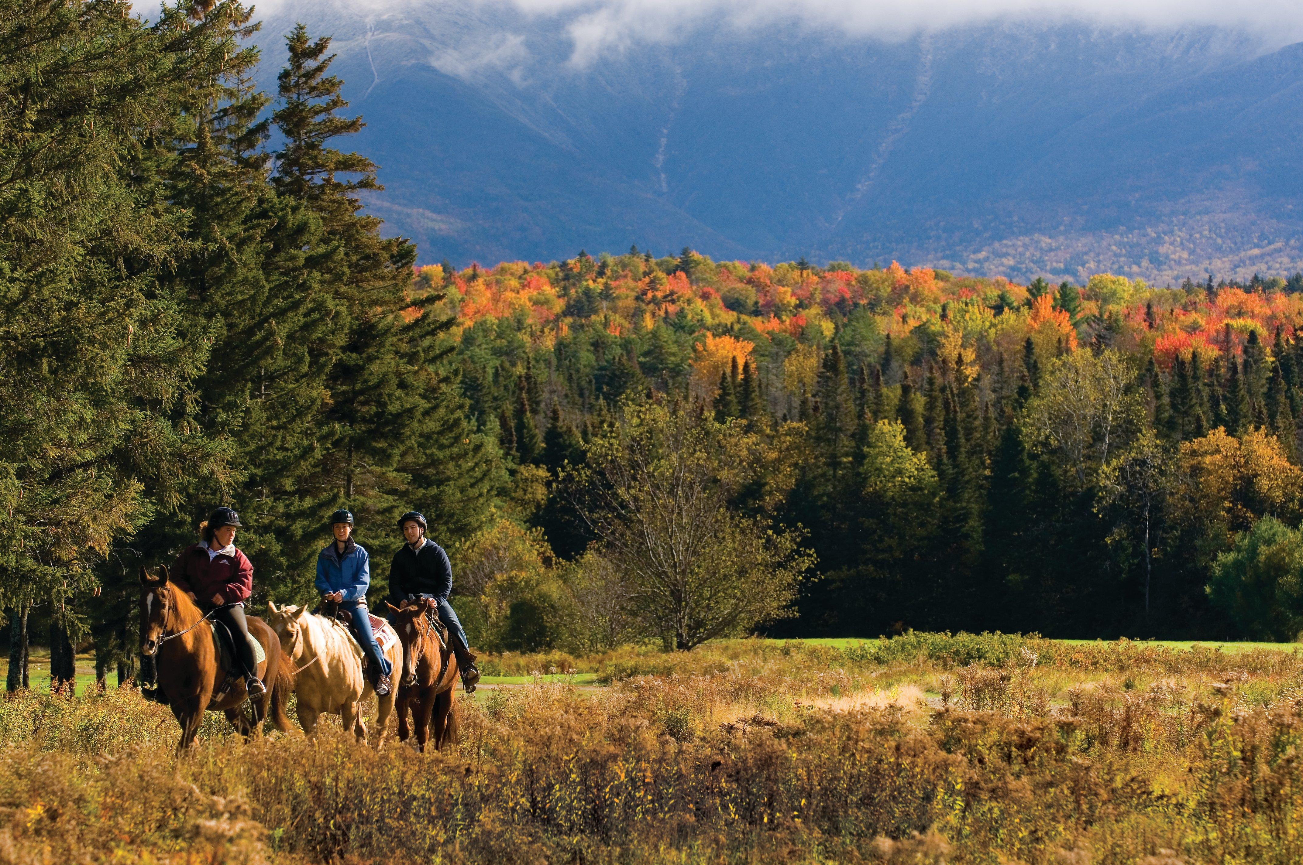 Omni Mount Washington Resort & Spa Bretton Woods Zewnętrze zdjęcie